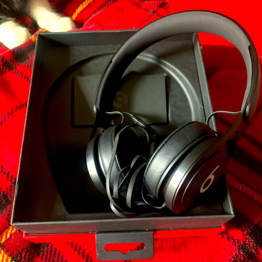 Earphones